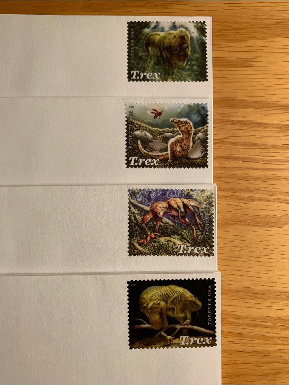 12 Stamped Dinosaur blank notecards - Picture 6 of 10